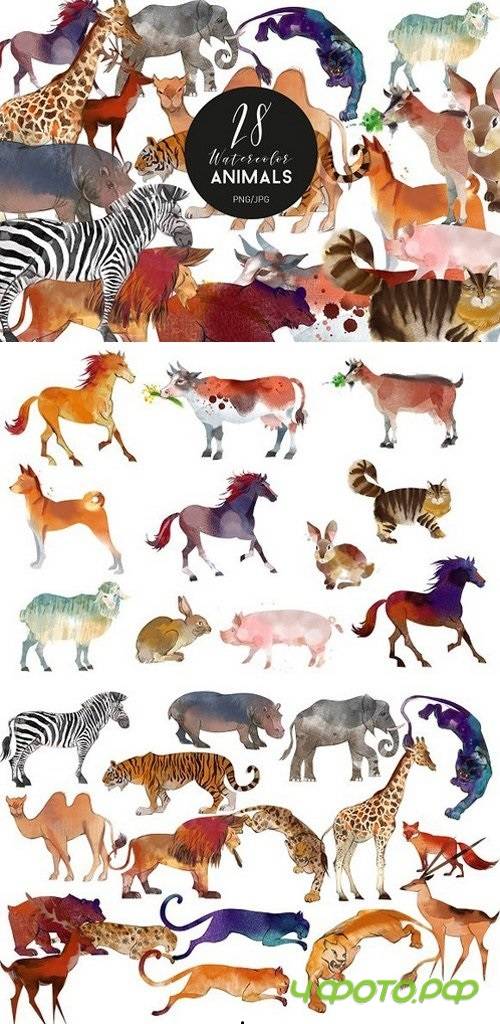 Watercolor animal set - 1636676