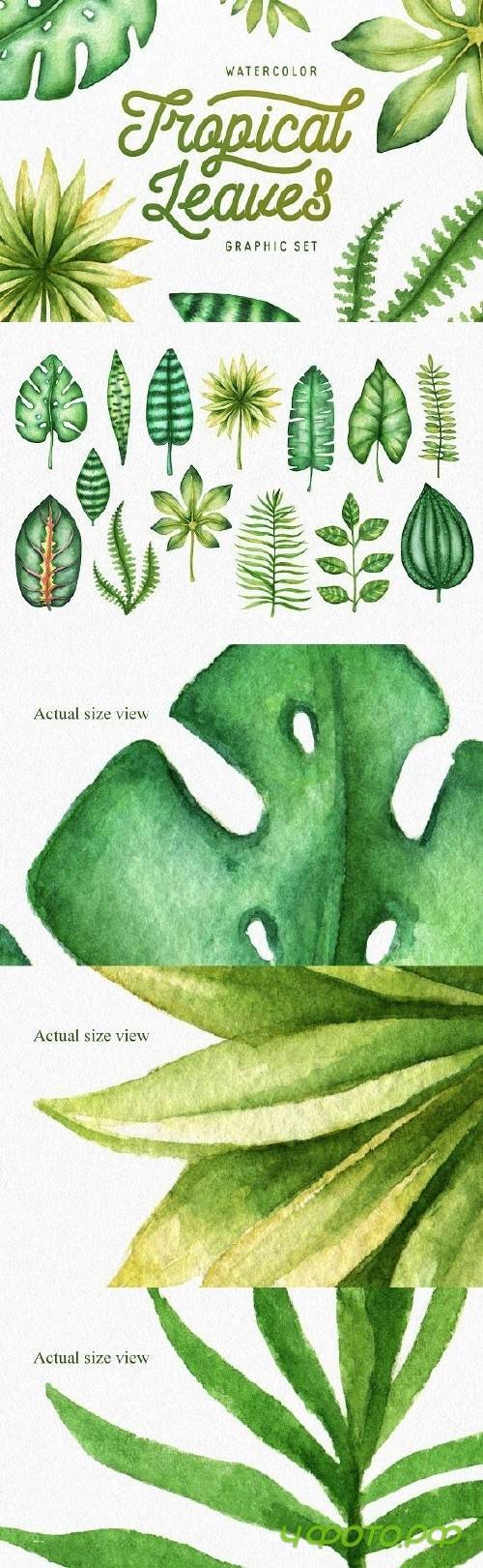 Watercolor Tropical Leaves 1705540