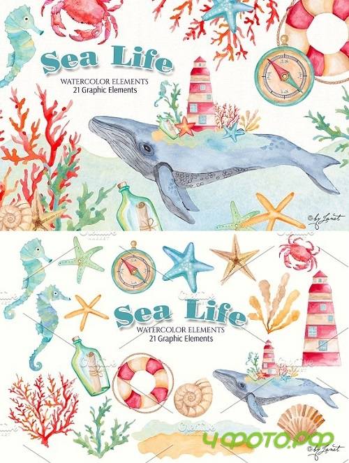 Sea Life Watercolor 1672901