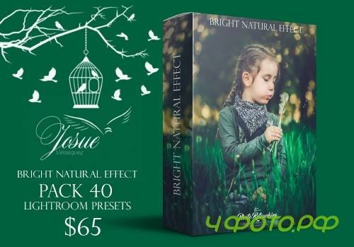 Bright Natural - Lightroom Presets - 1756918