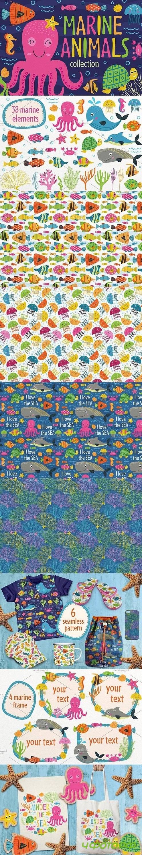 marine animals set 1664467