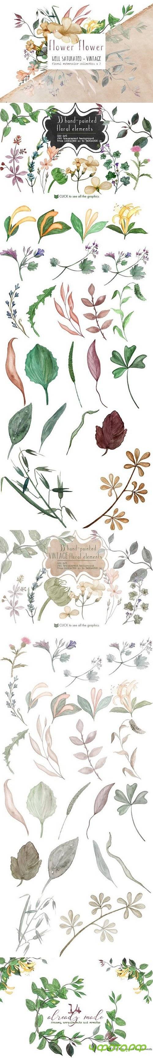 Virginia Wild - Watercolor Duo Pack 1626057