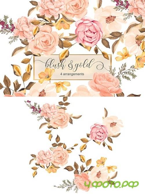 Blush & Gold Roses Clip Art 1719599