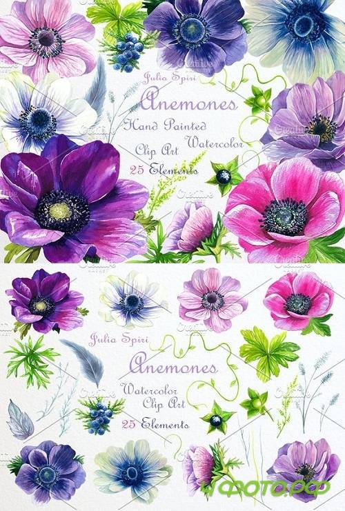 Watercolor Flowers ClipArt. Anemones 1321430