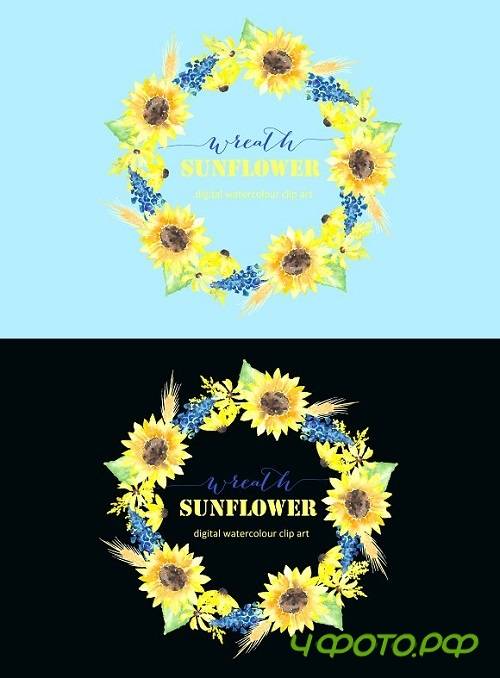 Sunflower wreath watercolour clipart 230751