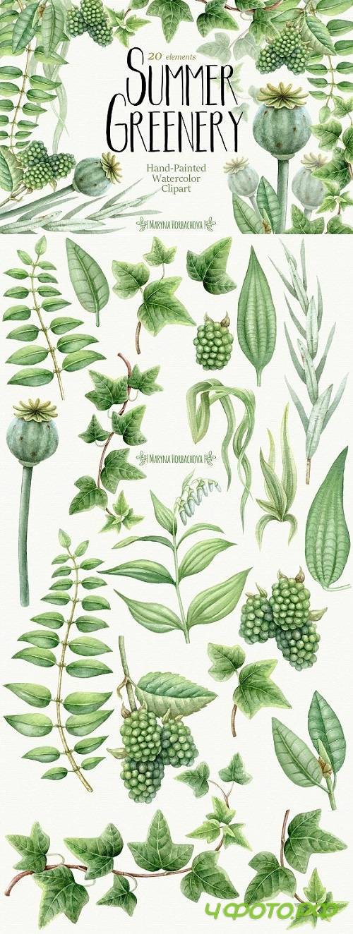 Summer Greenery. Watercolor set 1597106