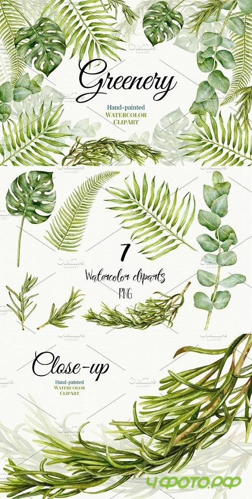 Wedding Watercolor Greenery 1396238