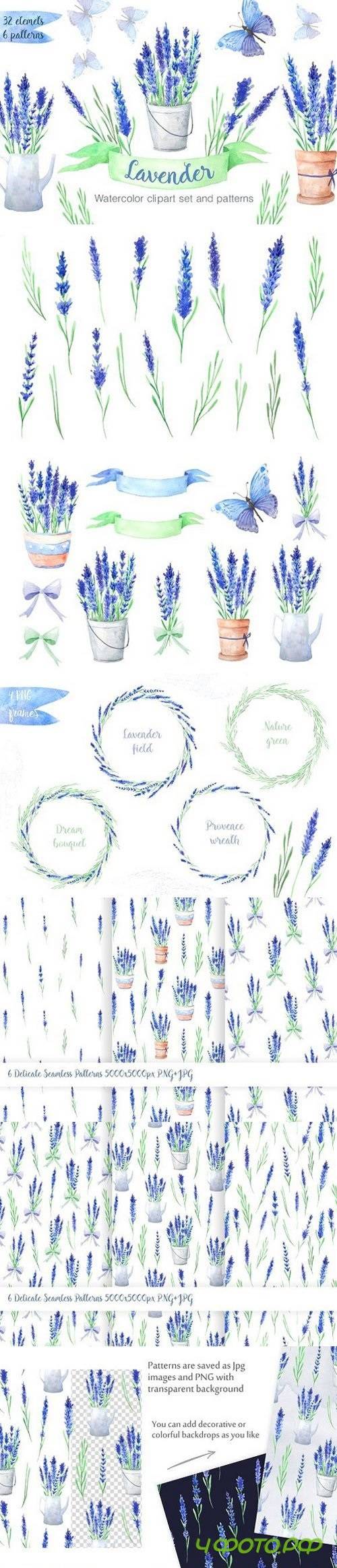 Watercolor Blue Lavender Flowers 1280572