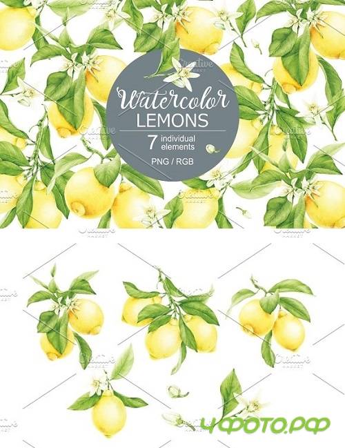 Watercolor Lemons 1813501