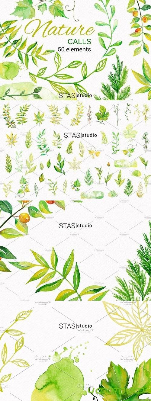 Watercolor Floral Elements 1808646
