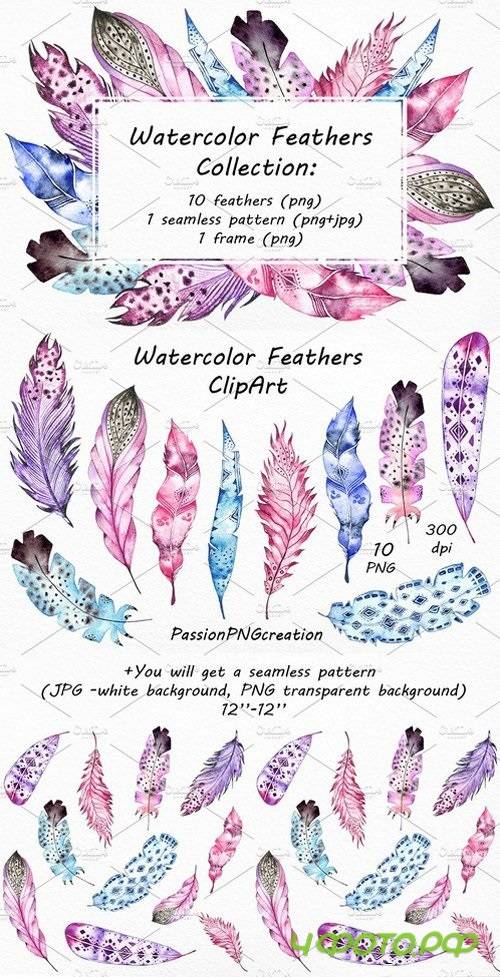 Watercolor Feathers �lip art 1806515