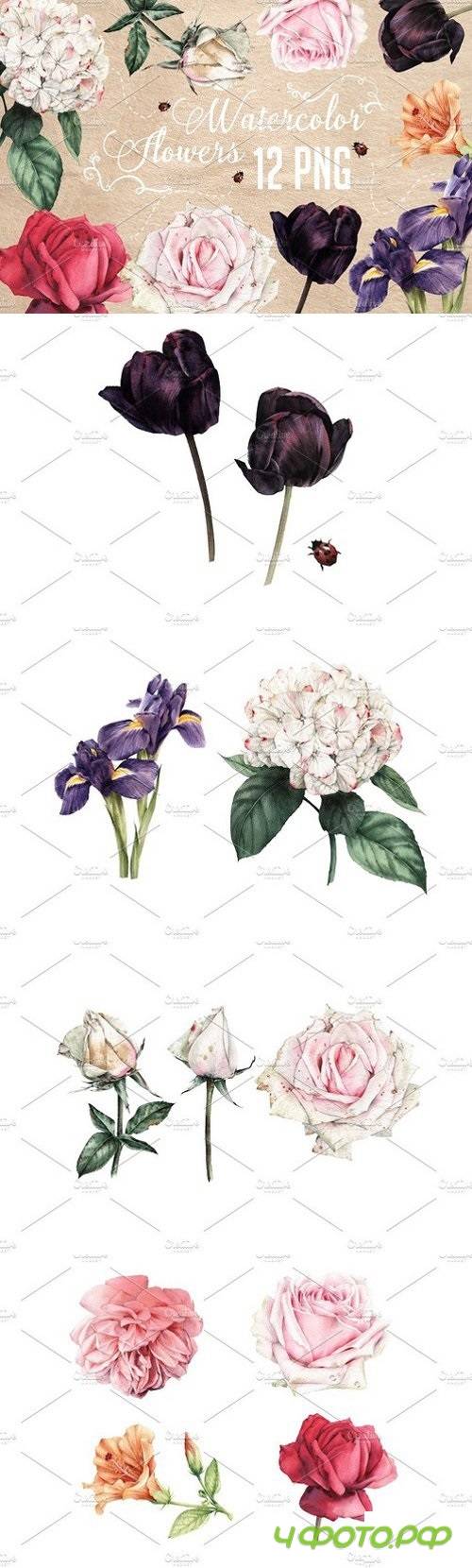 Summer flowers set 1805748