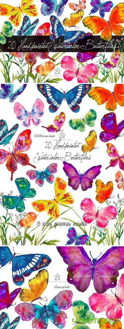 20 Watercolor Butterflies 790277