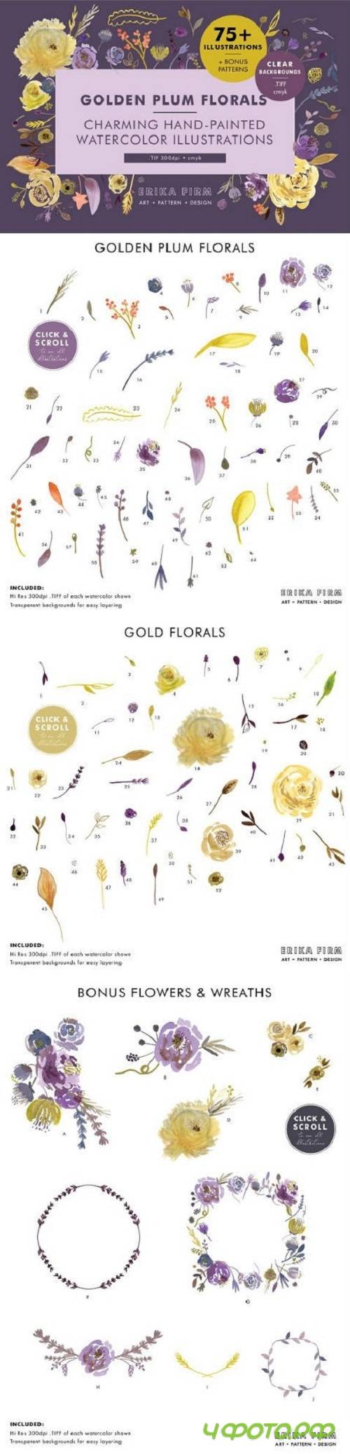Golden Plum Floral Watercolors 2003061