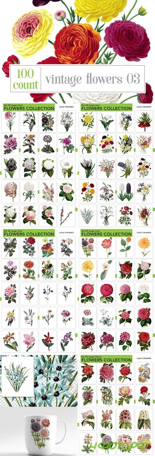 Watercolor Flowers Bundle Set 03 - 2169474