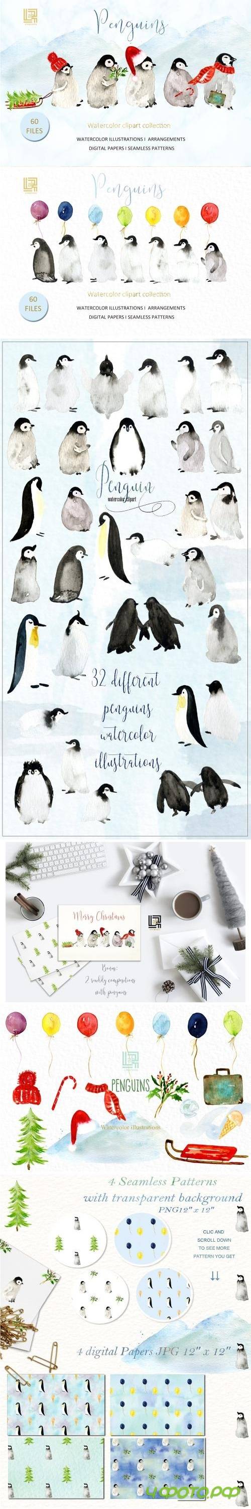 Penguins. Watercolor clipart - 1949488