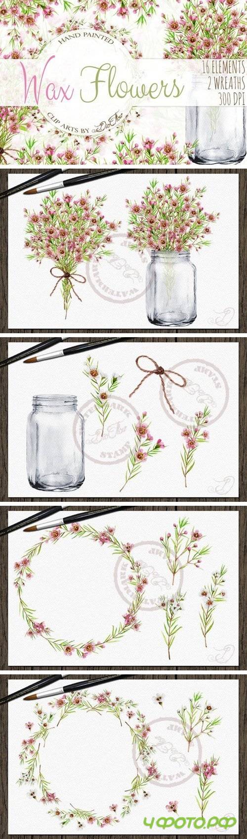 Wax Flowers Watercolor Clip Art 2276856