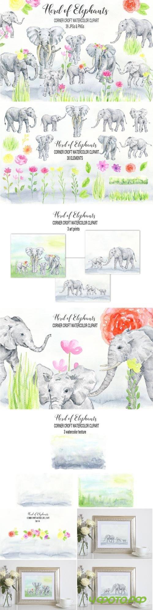 Watercolor herd of elephants - 2380009