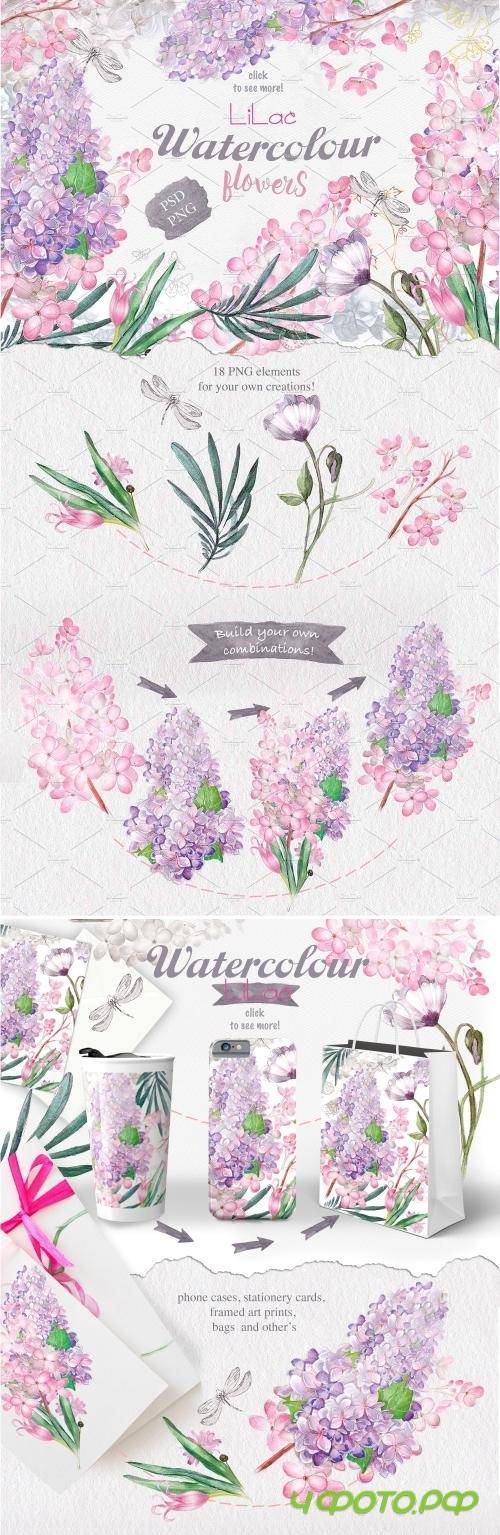 Watercolor lilac - 314068