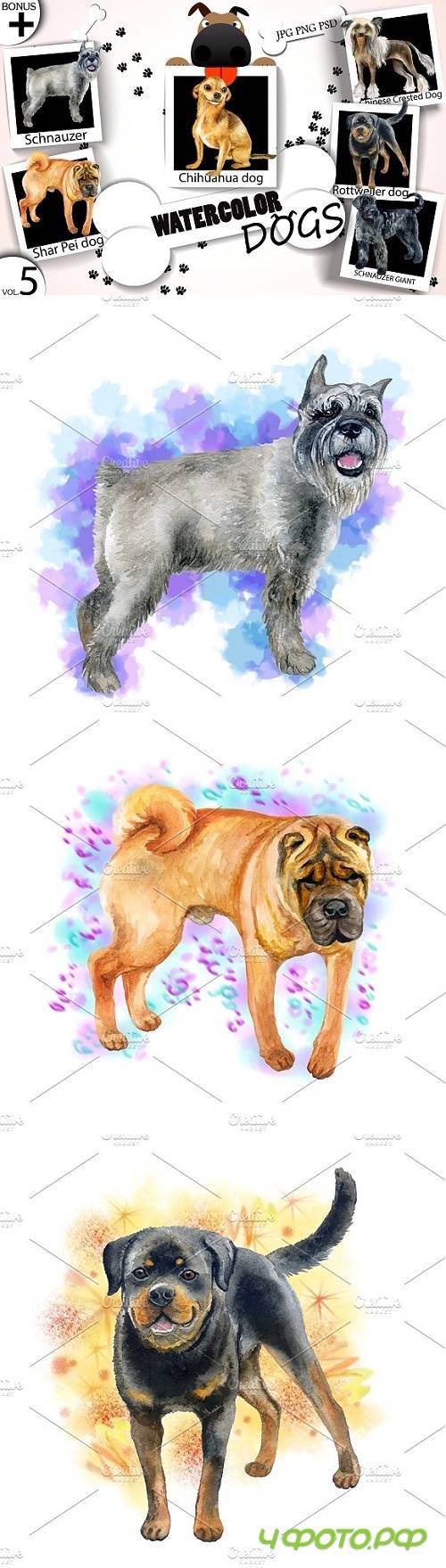Watercolor Dogs - Collection 5 of 12 - 1717321