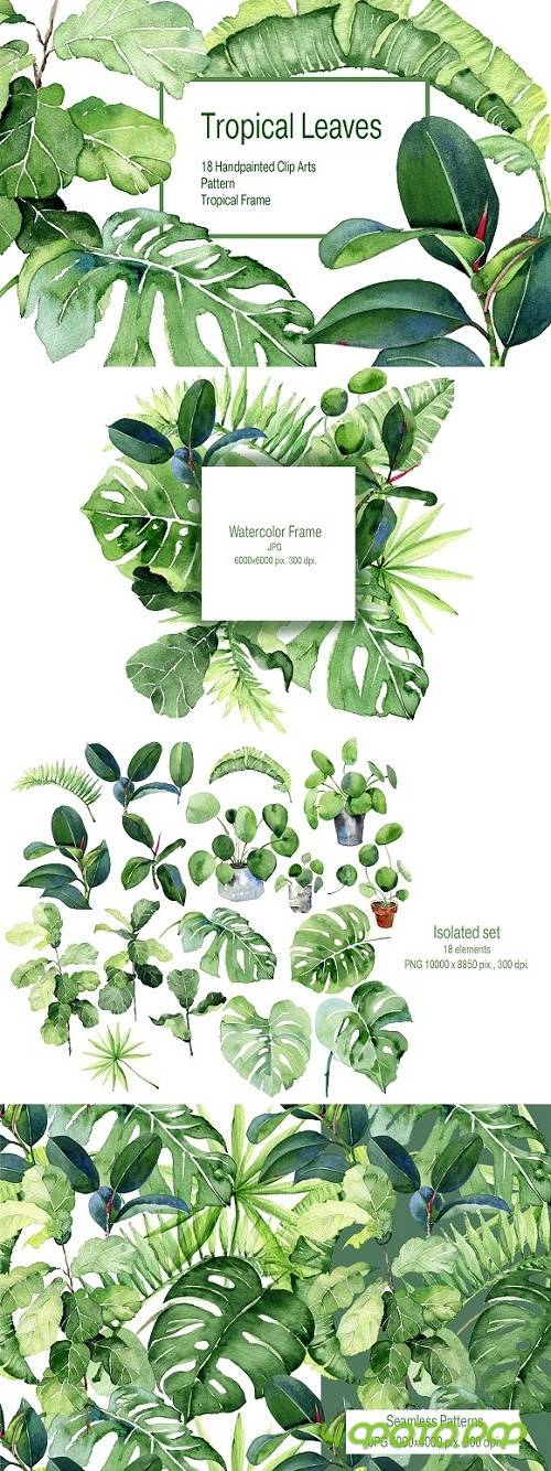 Tropical Leaves Watercolor Clipart 2400530