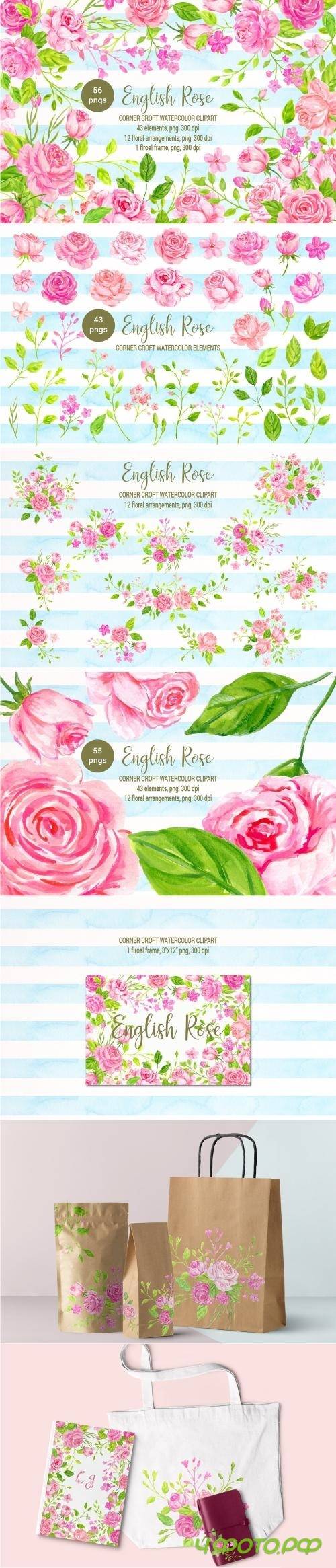 Watercolor English Rose Collection - 2500350