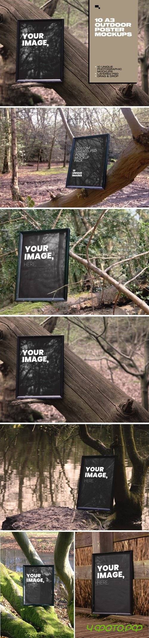 Forest Frames - 10 Unique Mockups 2464064