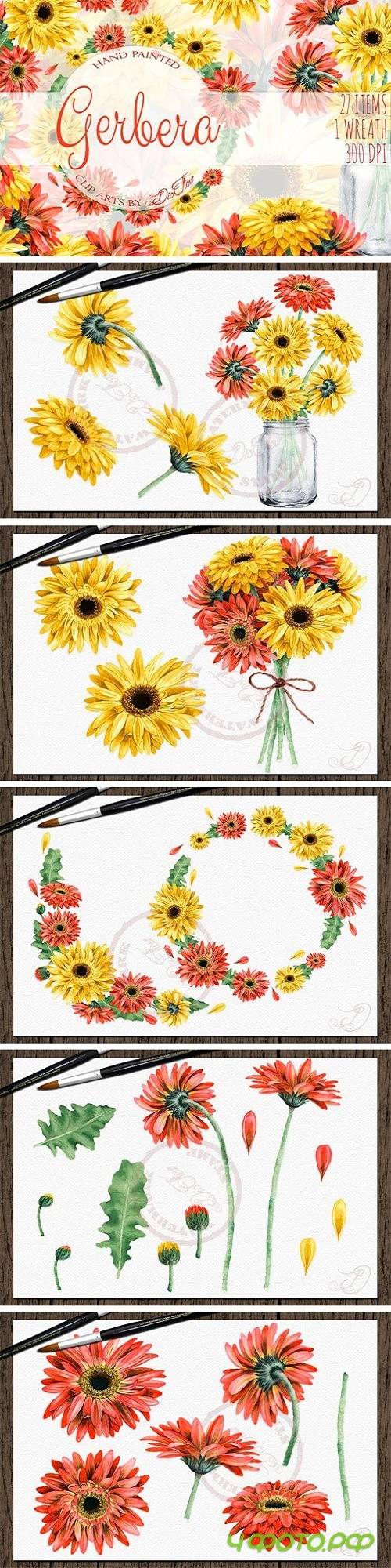 Gerbera Watercolor Clip Art 2421786 Gerbera Watercolor Clip Art 2421786