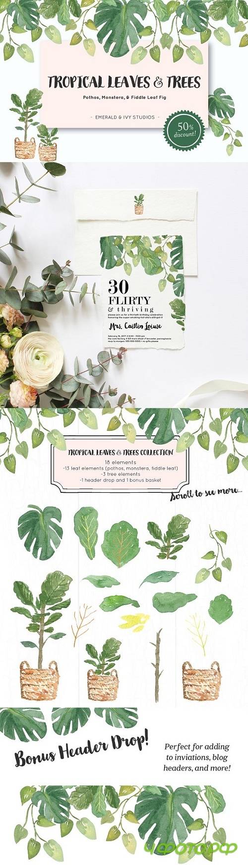 Tropical Leaves & Trees Clipart 2431070