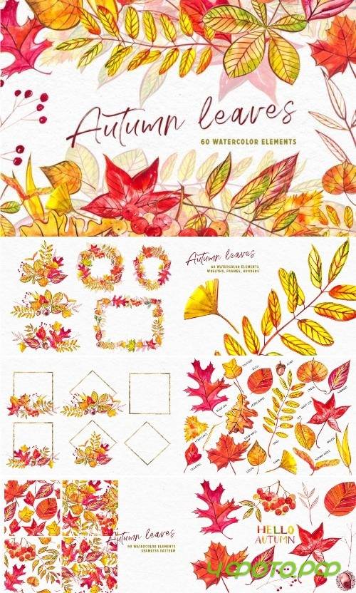 Autumn leaves - 3471675
