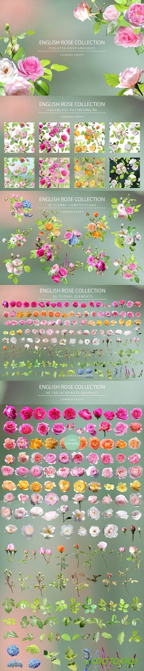 Rose Collection - 2740421