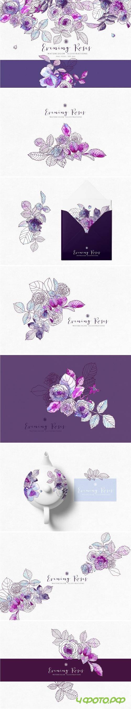 Evening Roses - 2925182