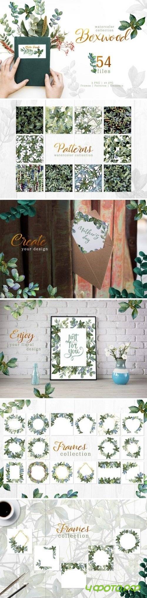 Green watercolor boxwood PNG 3318356