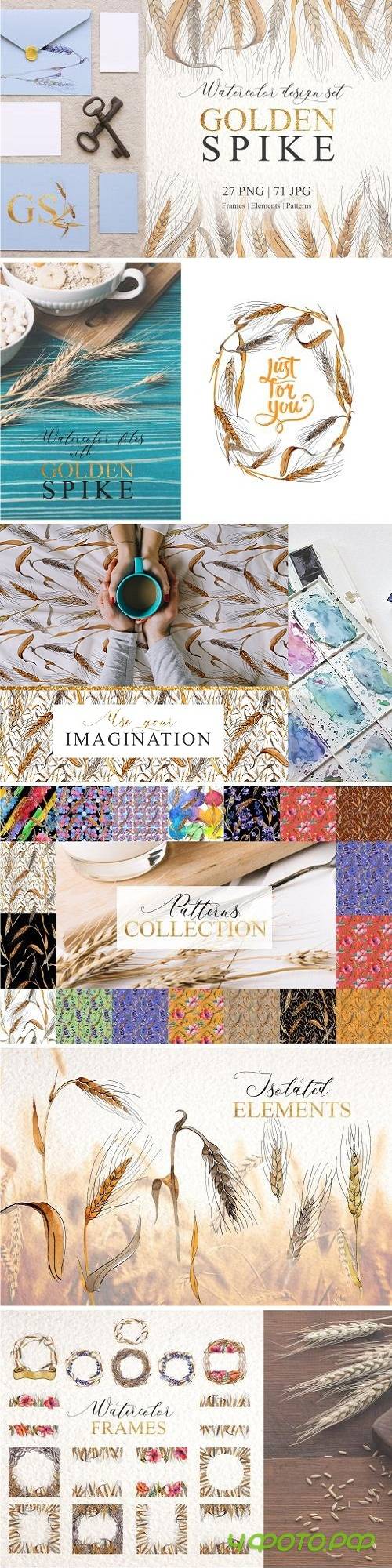 Spike Watercolor design set png - 3358957