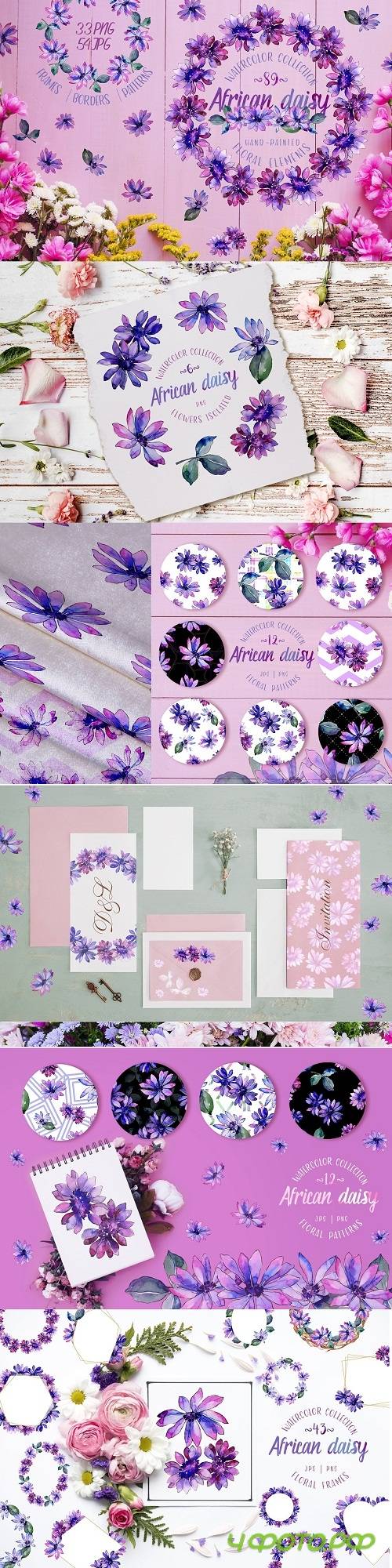 African daisy Watercolor png - 3379219 African daisy Watercolor png - 3379219
