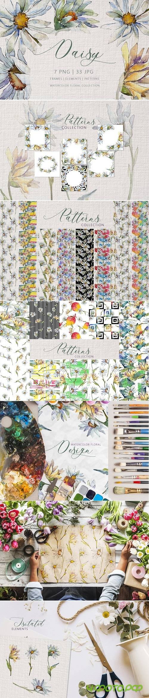 DAISY Watercolor png - 3350915