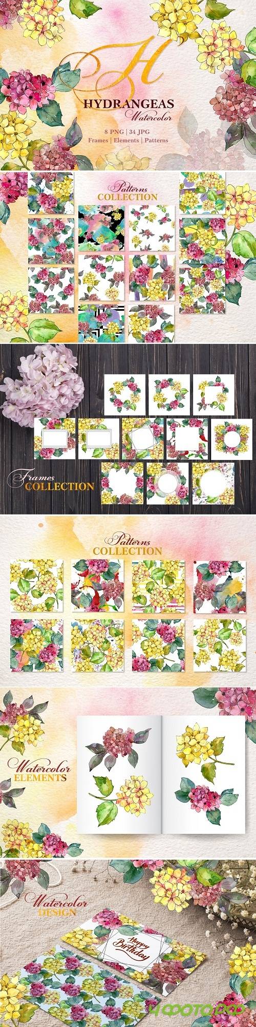 Hydrangeas Yellow-pink Watercolor - 3456127