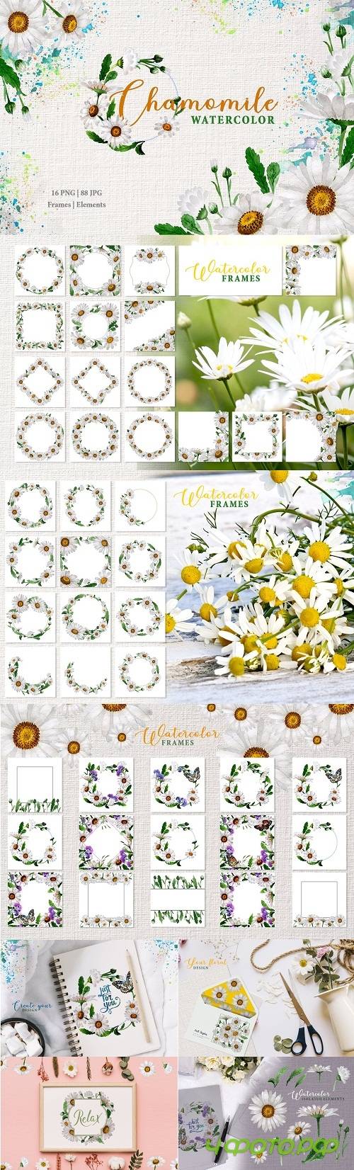 Chamomile Watercolor png - 3449948