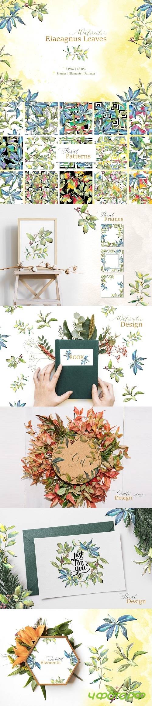 Elaeagnus leaves Watercolor png 3350553