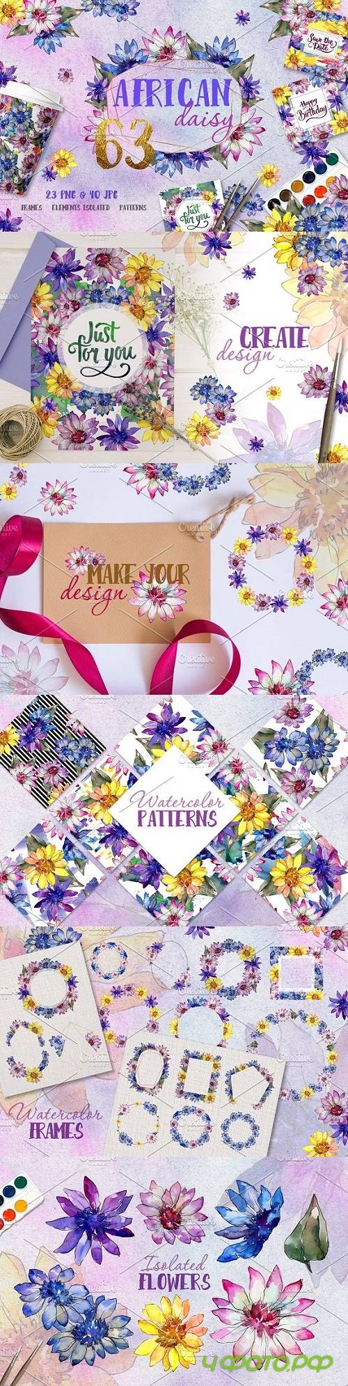 African daisy Watercolor png - 3502594