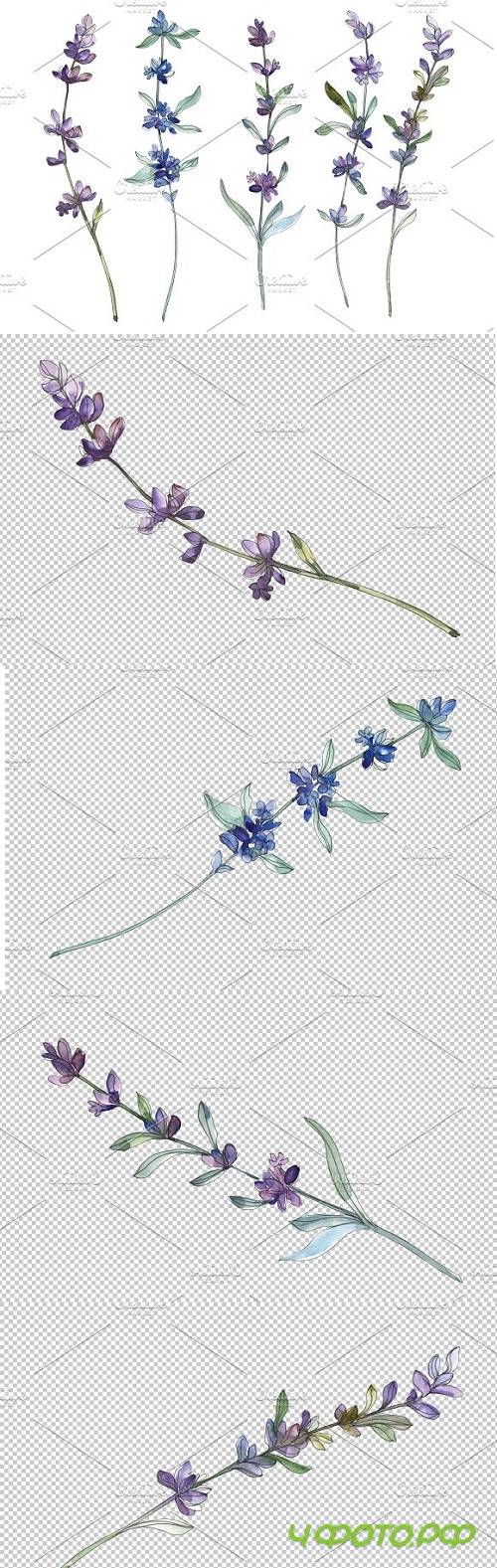Lavender Watercolor png - 3509967