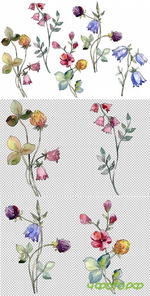 Wildflowers Watercolor png - 220946
