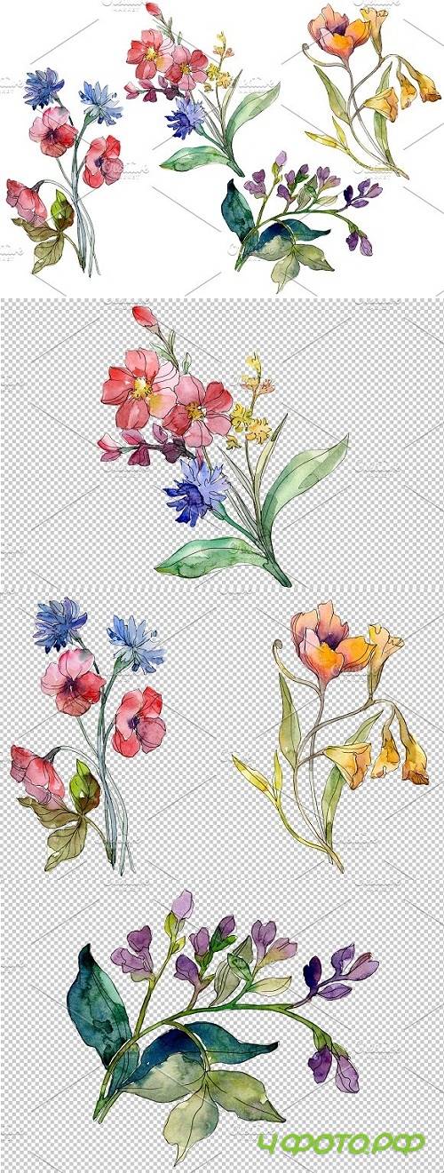 Wildflowers the beauty Watercolor - 3528924