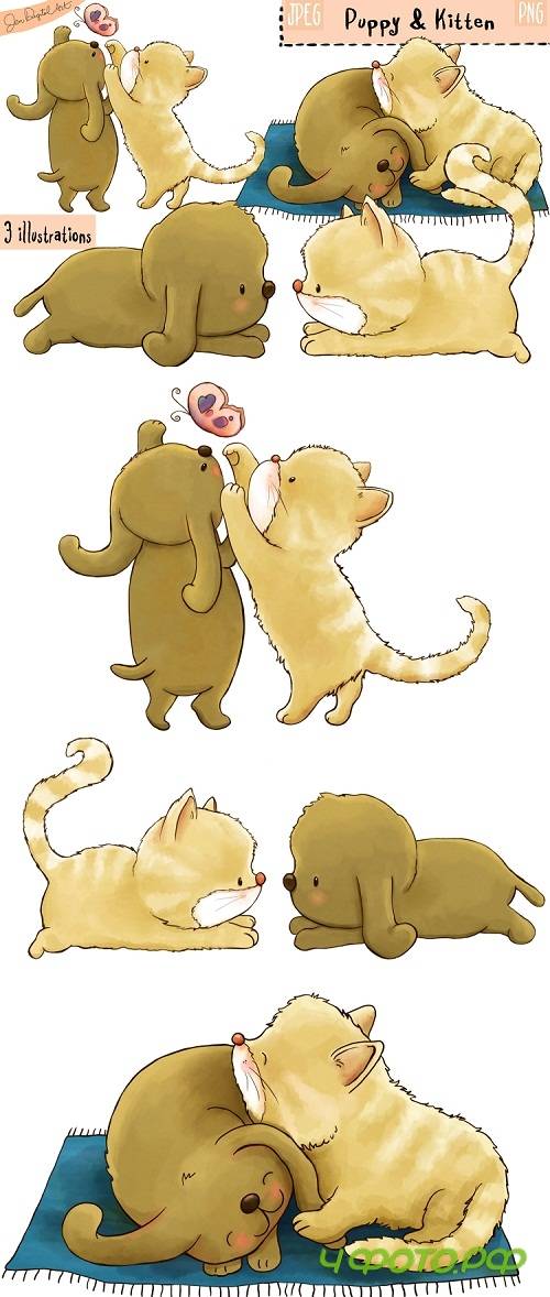 Puppy And Kitten - Clip art illustrations - PNG-JPEG - 110316