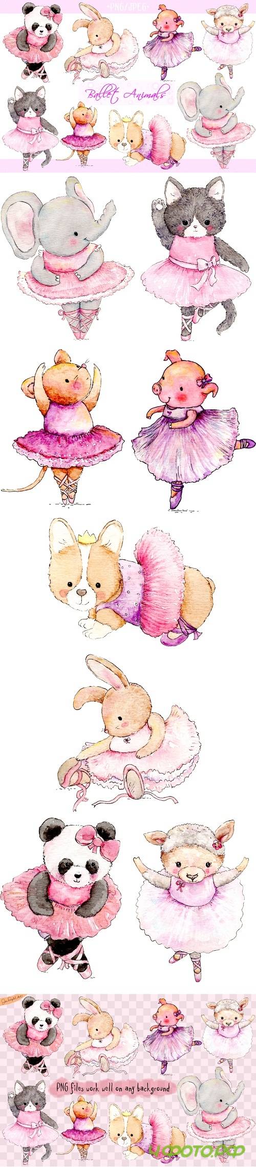 Watercolor Ballet Animals | 8 Clip Art Illustrations-PNG/JPG - 225982