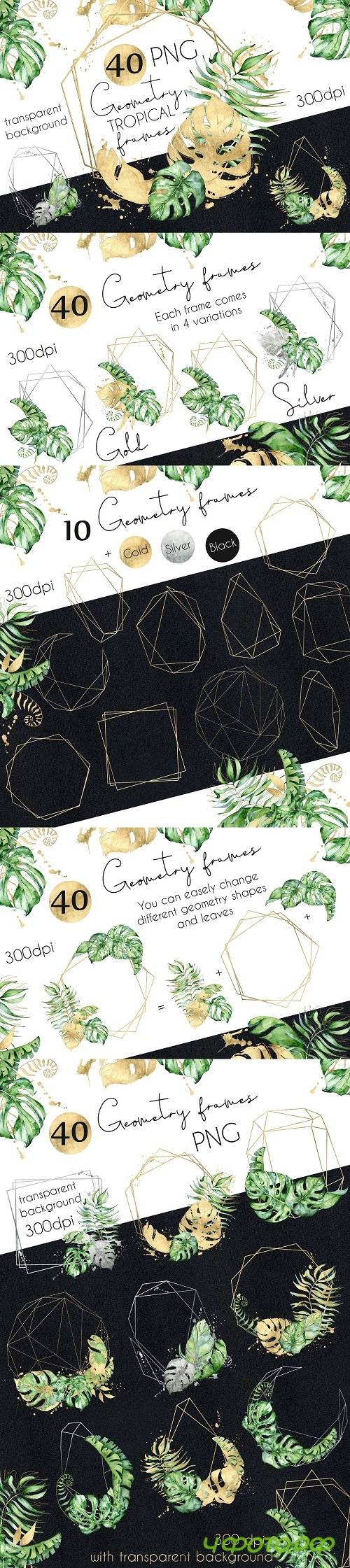 Geometry Tropical Frames creator - 3498080