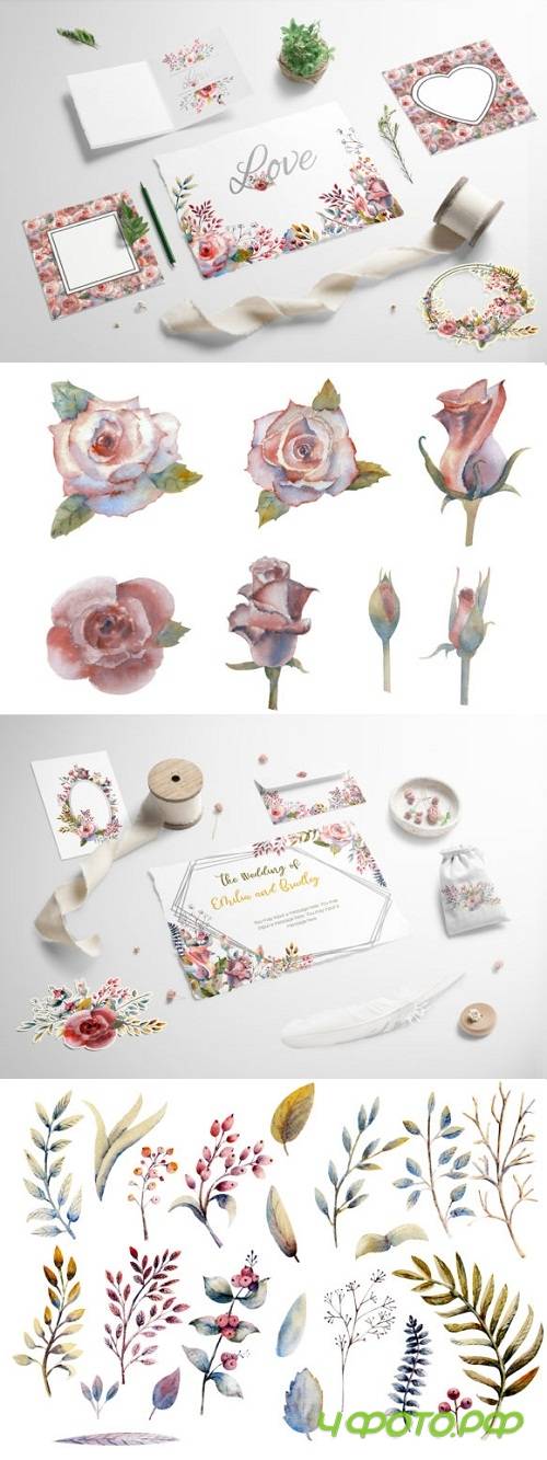 Pink Rose Watercolor Set