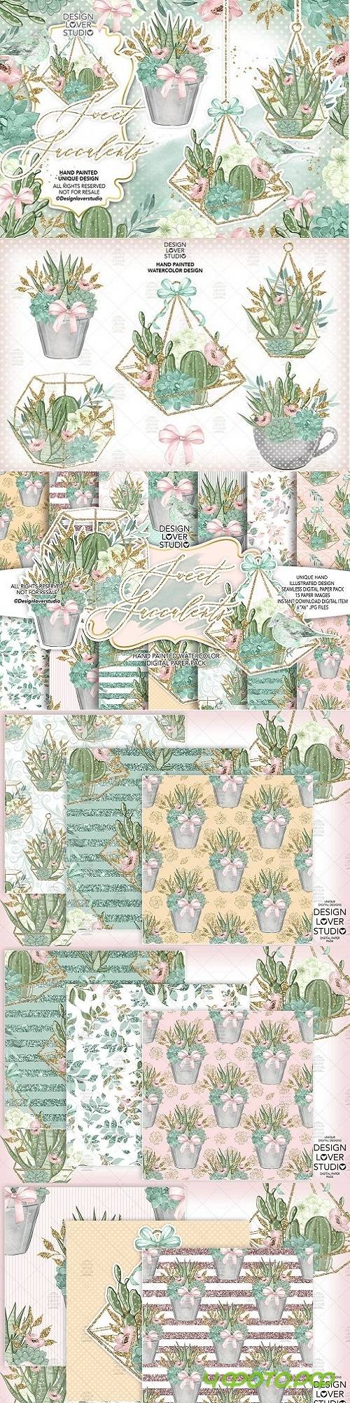 Sweet Succulent design and digital paper pack Sweet Succulent design and digital paper pack