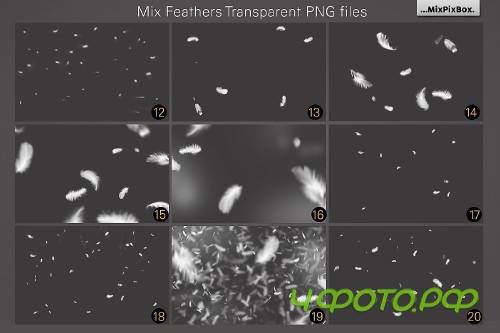 White Feathers Overlays 2982738