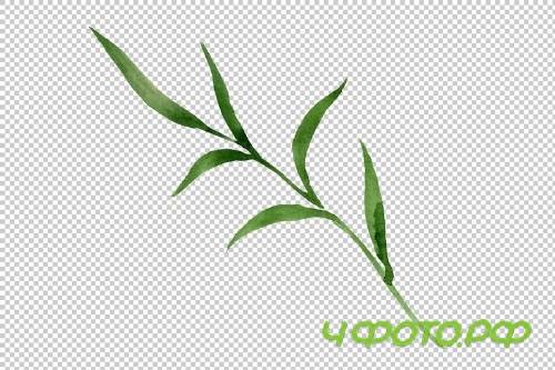 Wildflower lemon lily PNG watercolor - 3050355